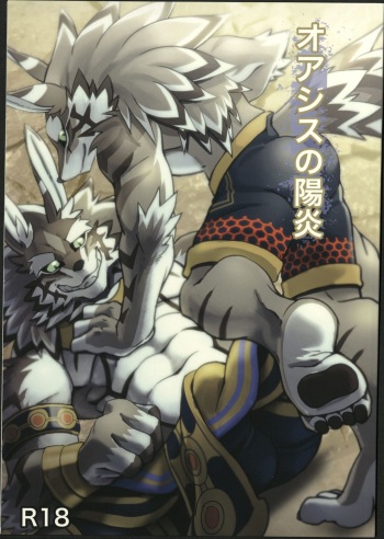 (Kemoket 8) [Nikumaruya (DRNX)] Oasis no Kagerou (Tokyo Afterschool Summoners) cover