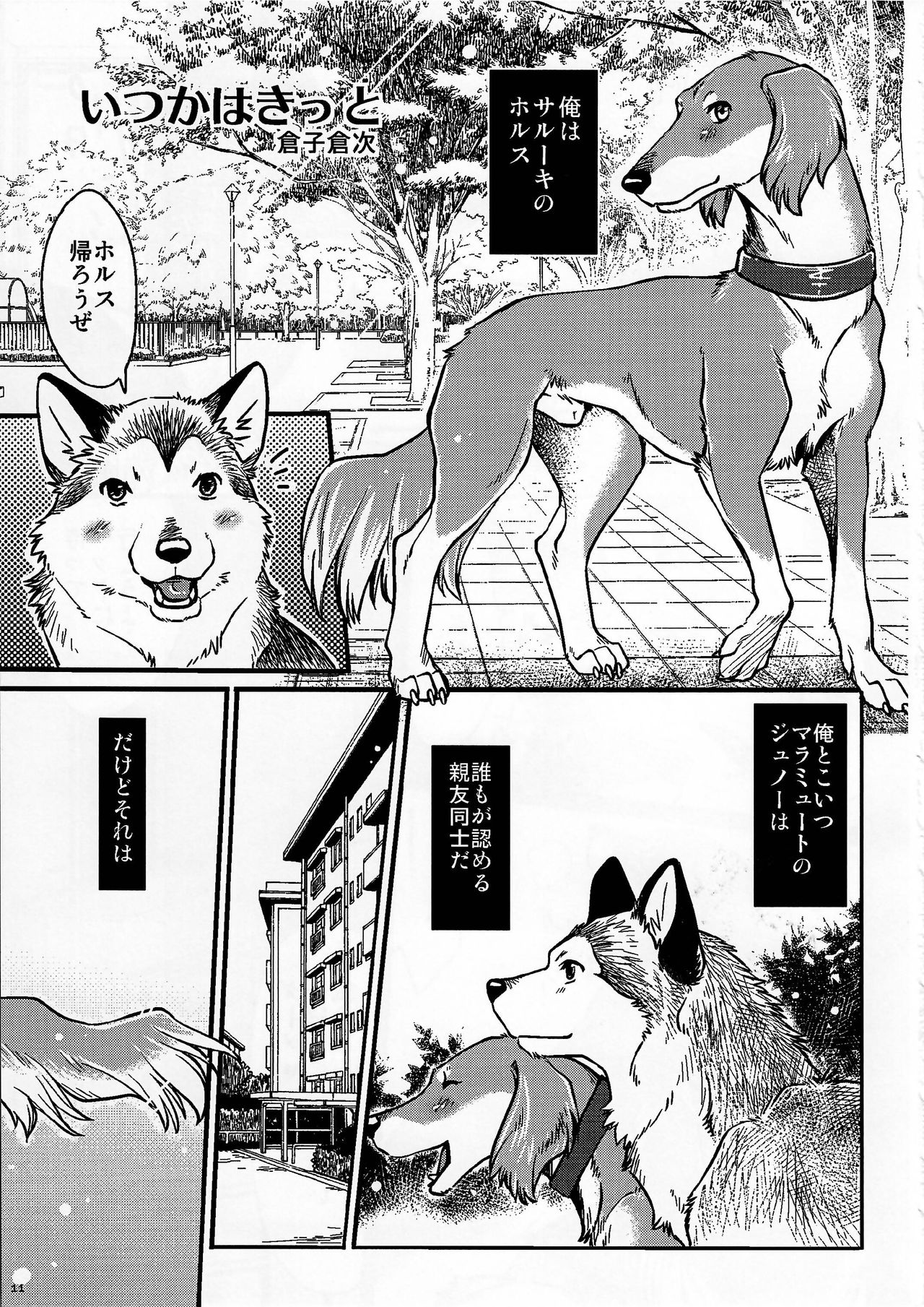 KTQ9 page 11 full