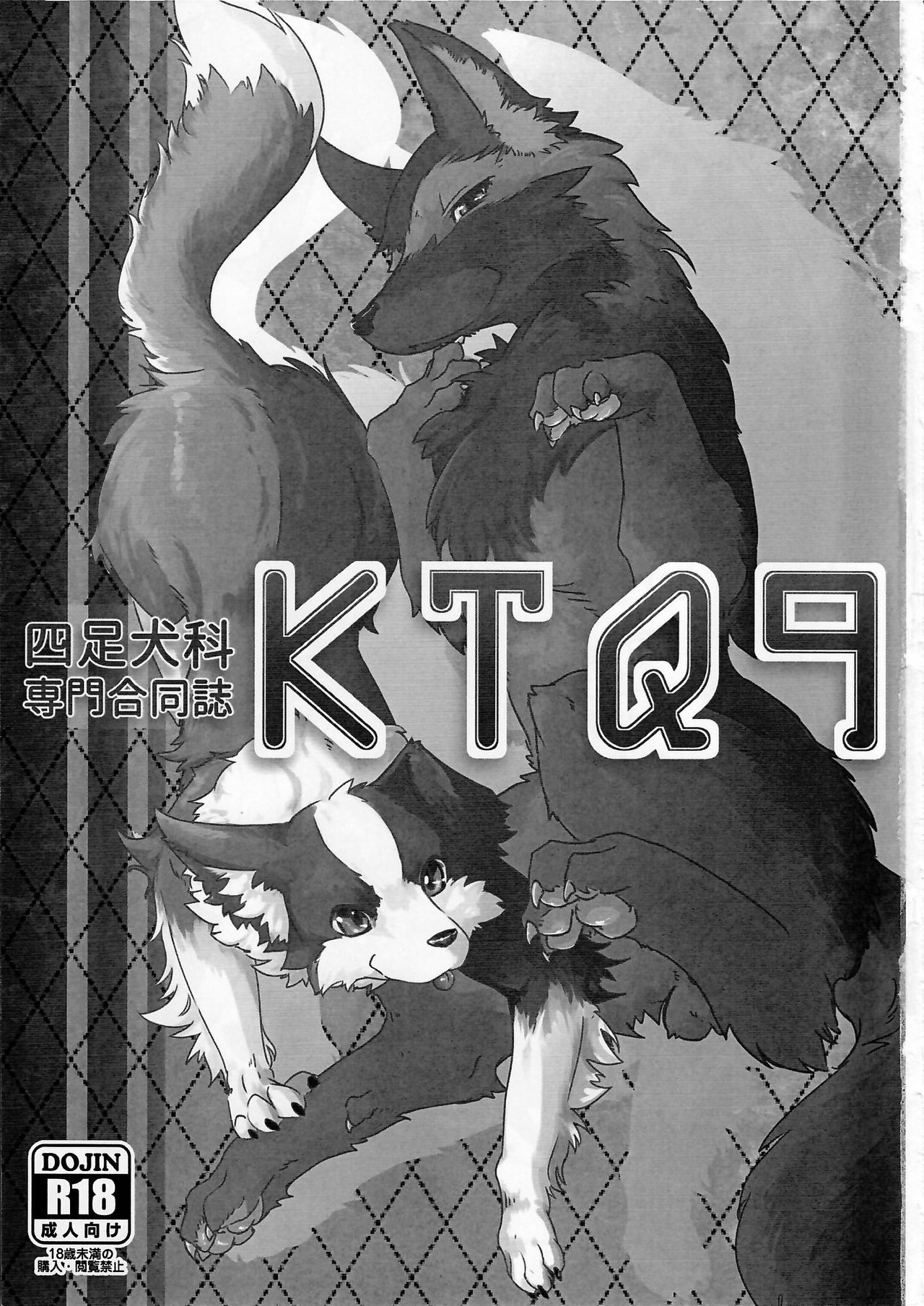 KTQ9 page 3 full