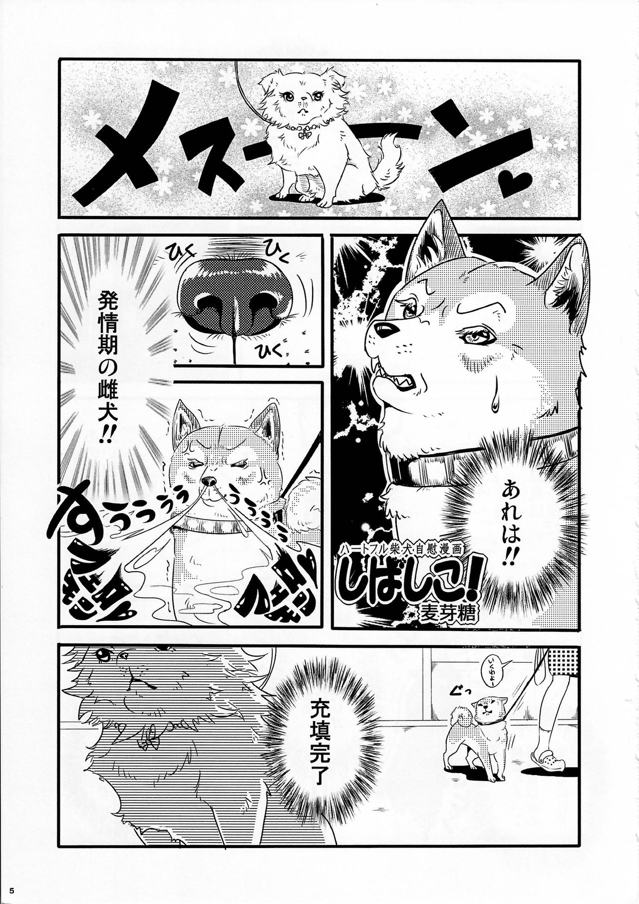 KTQ9 page 5 full
