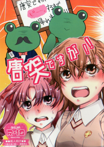 (Girls Love Festival 20) [Paradise Lost (Higashizuki Sei)] Toutotsu desu ga!! (Toaru Kagaku no Railgun) cover