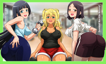 Sano-BR Dumbbell nan kilo moteru cover
