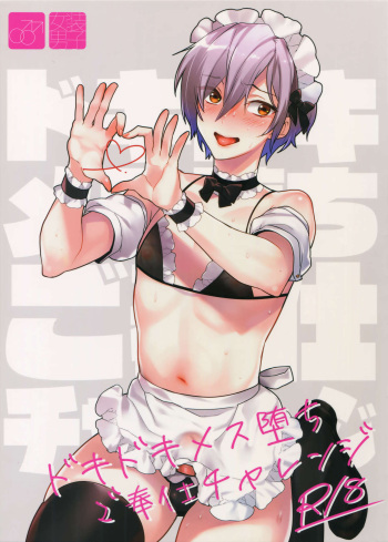 (C96) [Ash wing (Makuro)] Dokidoki Mesu Ochi Gohoushi Challenge cover