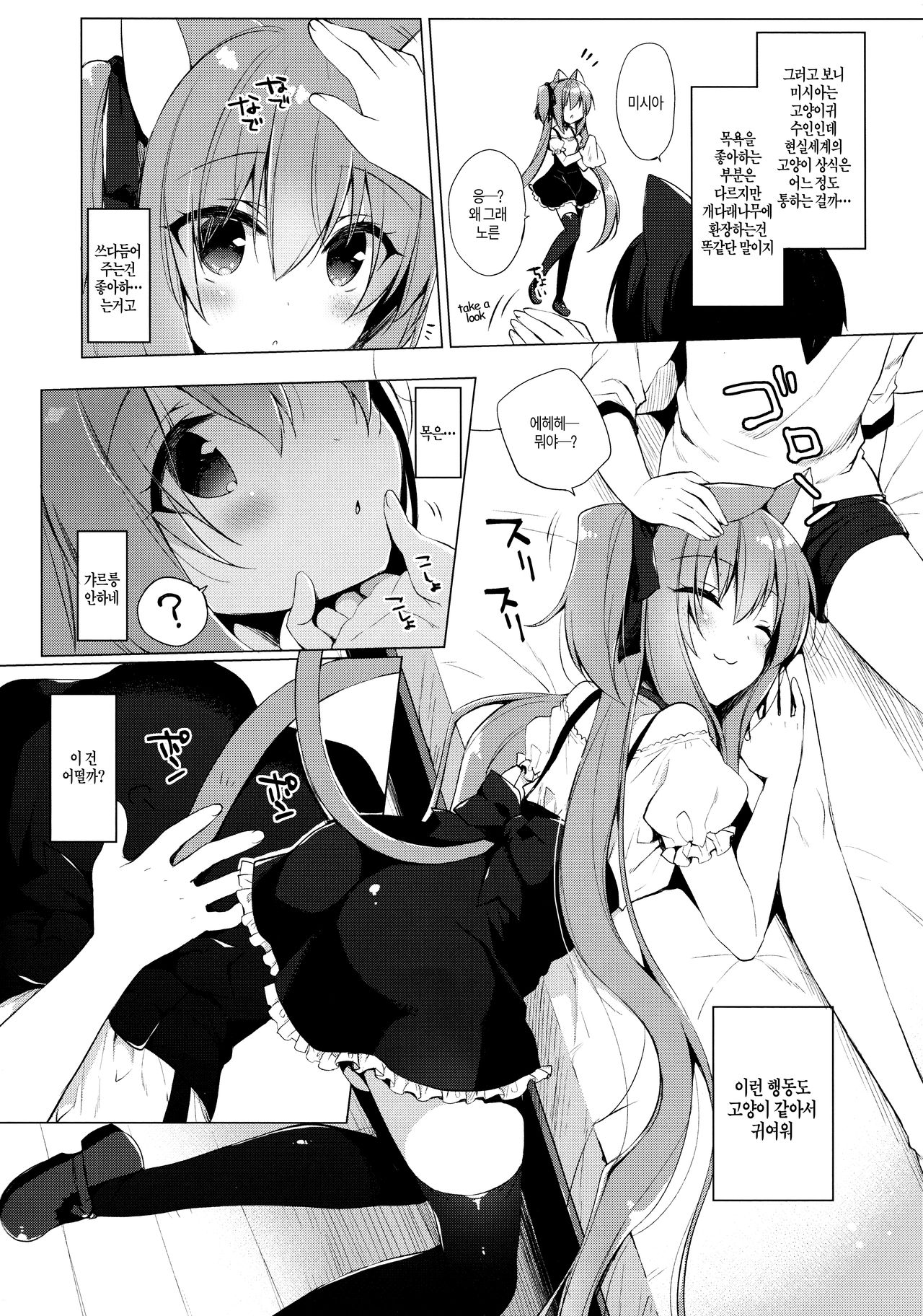 Nekomimi Shoujo Kansatsu Kiroku | 고양이 귀 소녀 관찰 기록 page 3 full