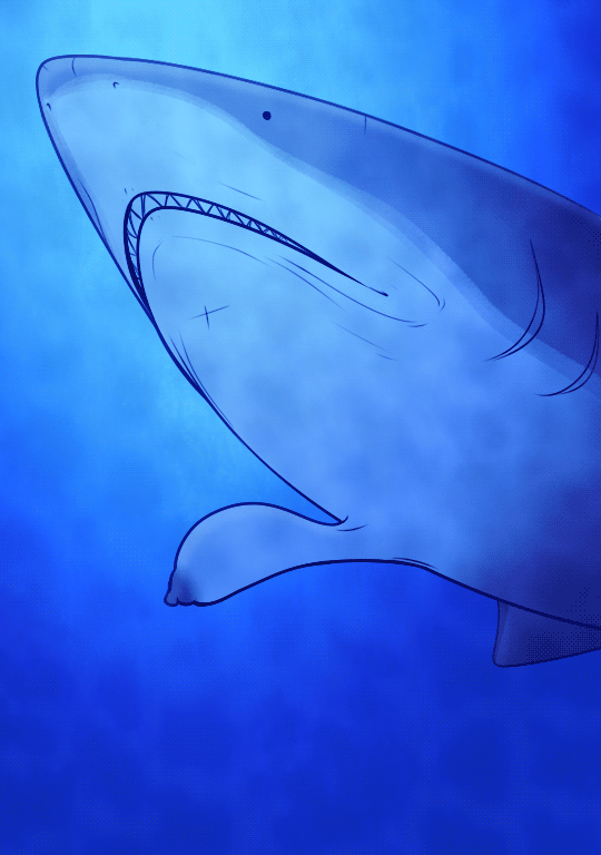 /trash/ Shark Thread page 3 full
