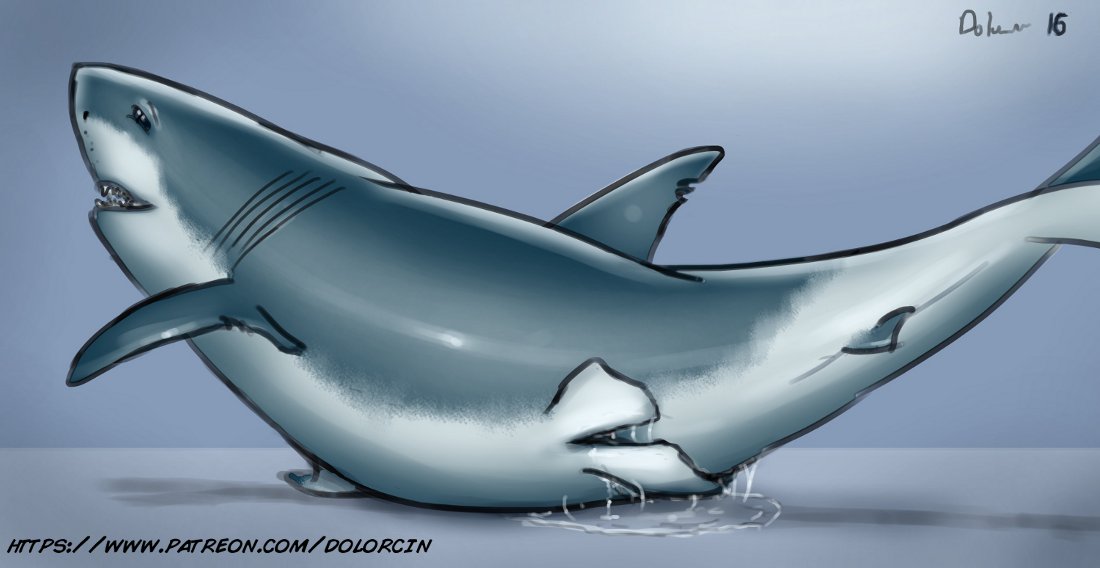 /trash/ Shark Thread page 4 full