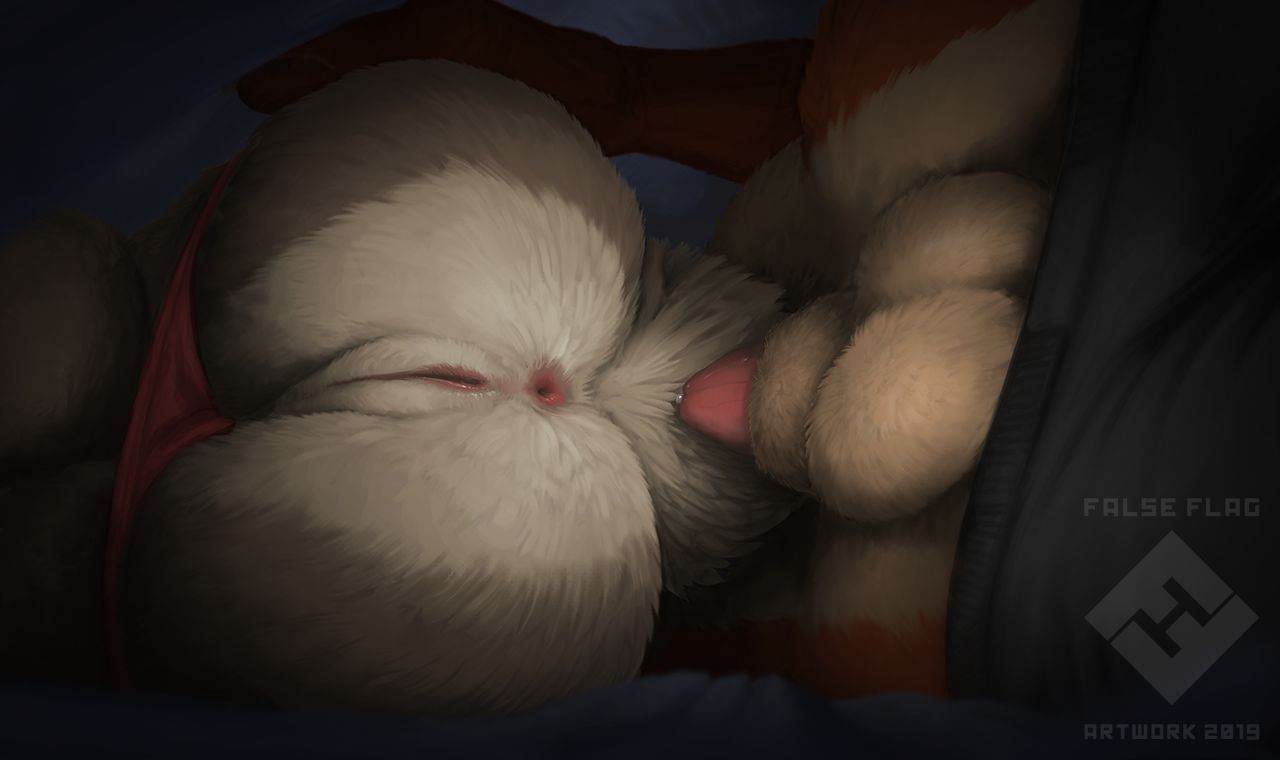 zootophile 14 page 3 full