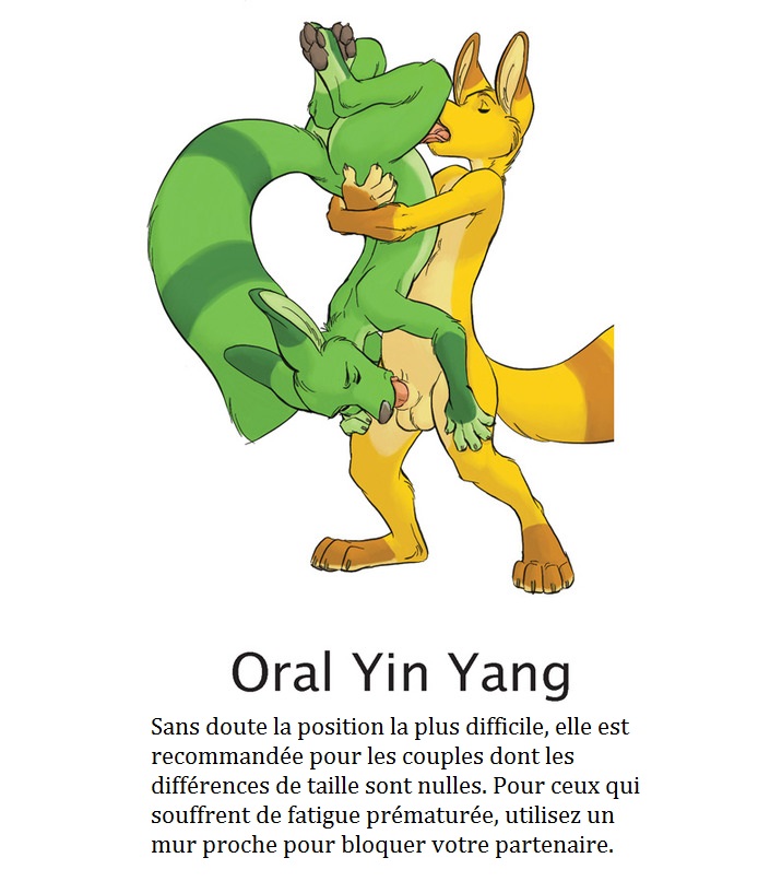 Yaoi furry kamasutra page 5 full
