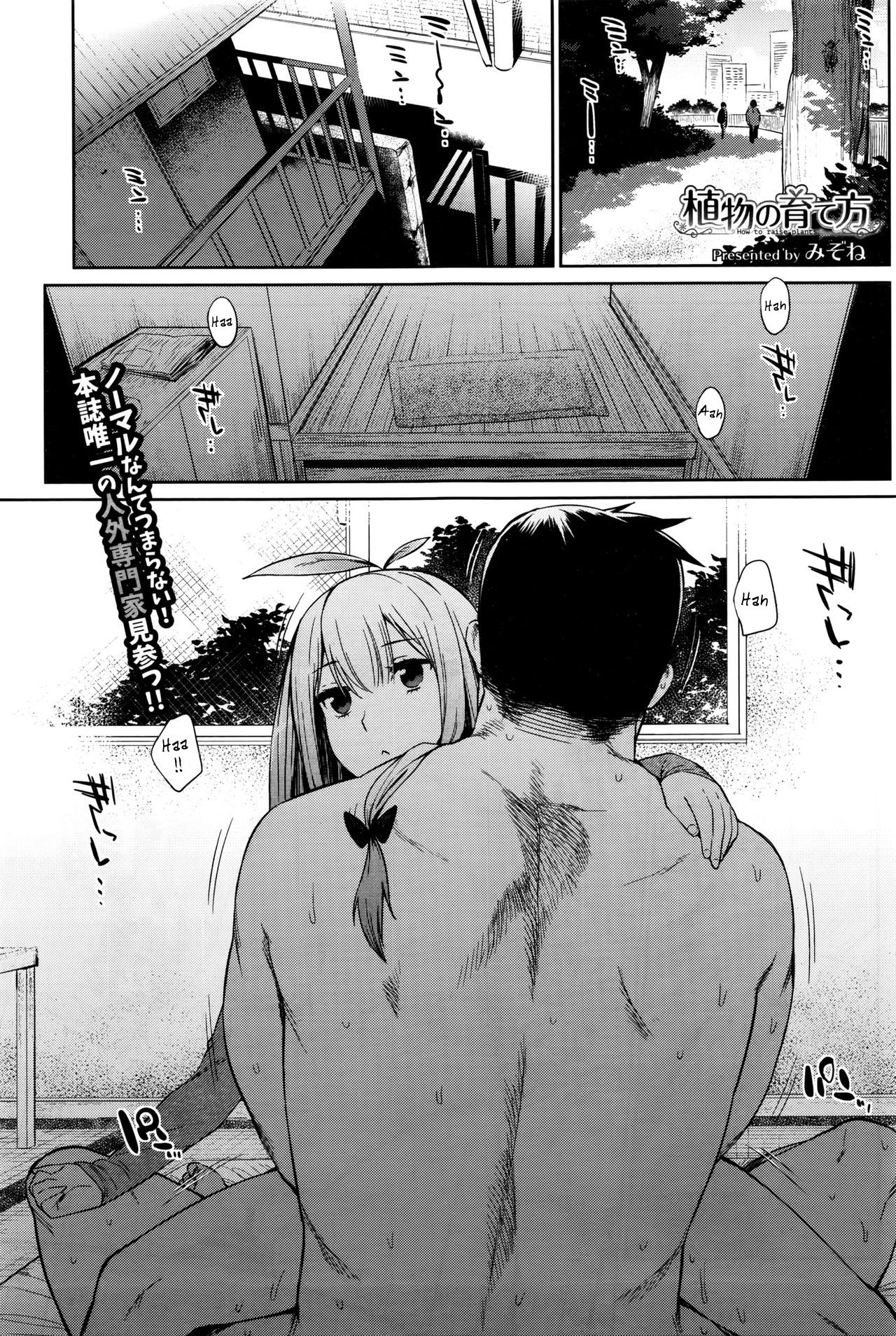 Shokubutsu no Sodatekata | Cómo criar una planta page 1 full