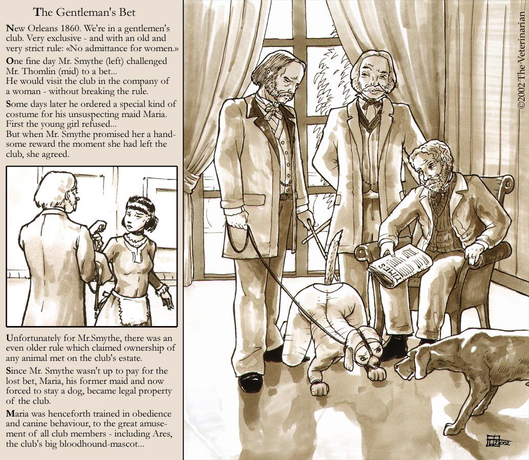 Art of The Veterinarian page 2 full
