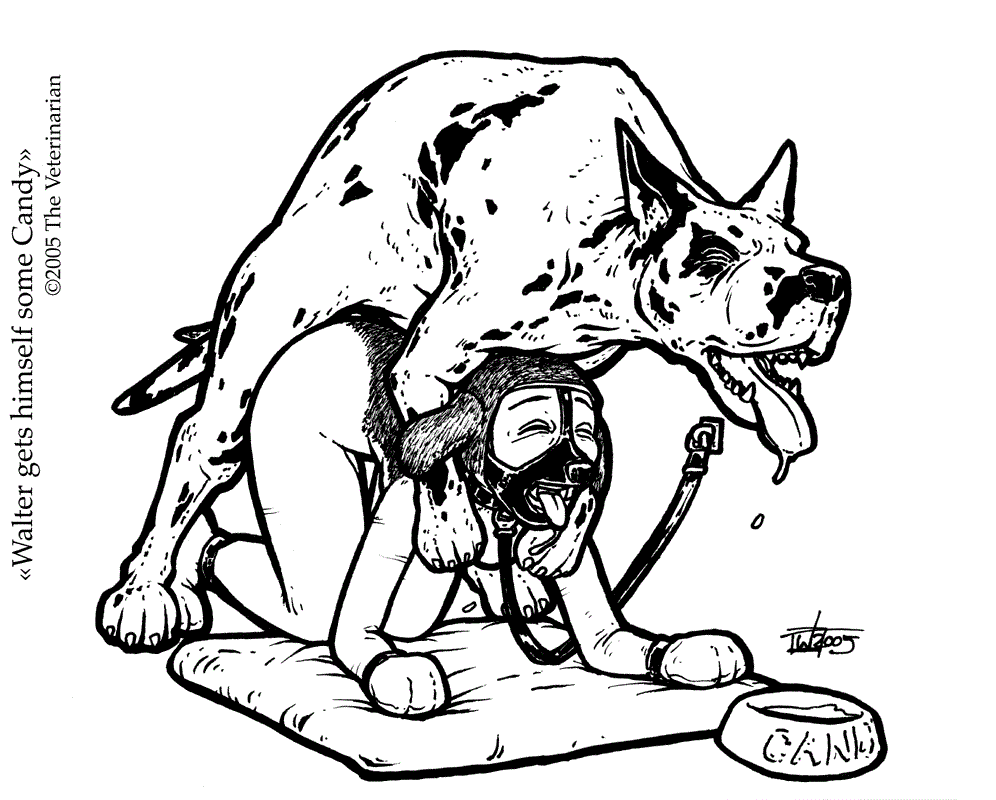 Art of The Veterinarian page 6 full