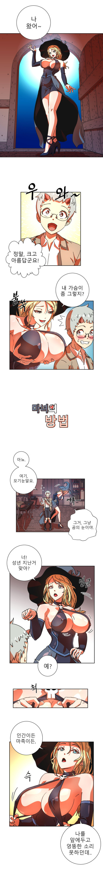 [choi] witch cover