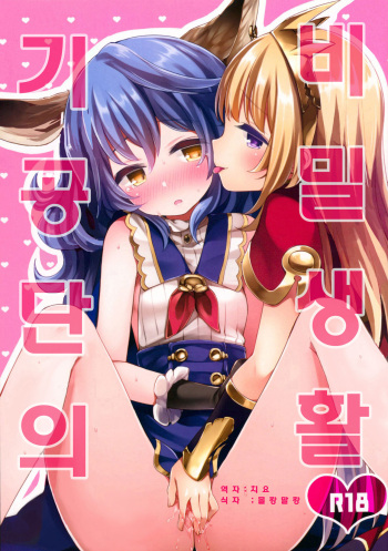 (C89) [Touyoko Surfrider (Fummy)] Kikuudan Himitsu Life | 기공단의 비밀생활 (Granblue Fantasy) [Korean] cover