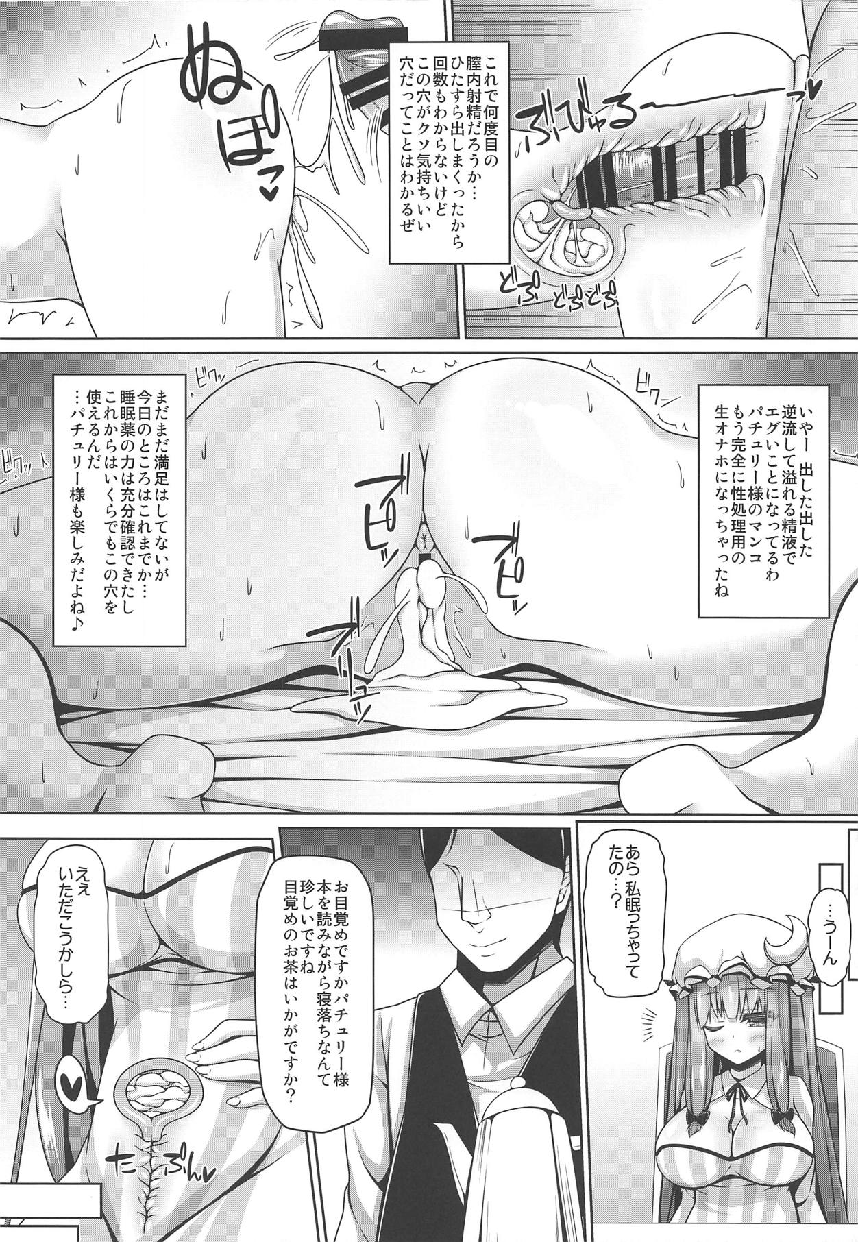 Neteiru Patchouli ni wa Nani o Shite mo Yoi page 11 full