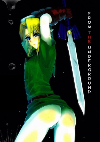 (C83) [Tricot (Stella.Ing)] From The Underground (The Legend Of Zelda) [French] cover