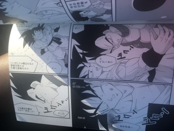 Dbz yaoi cover
