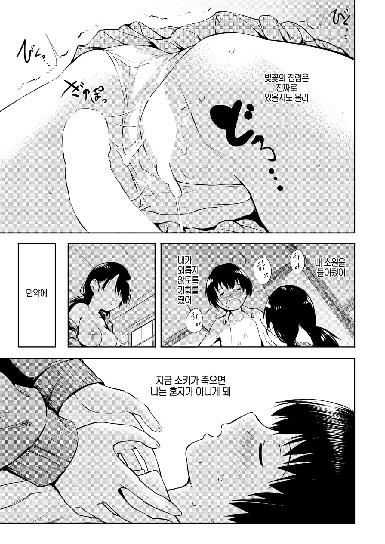 Sakanai Sakura | 피지 않는 벚꽃 page 11 full