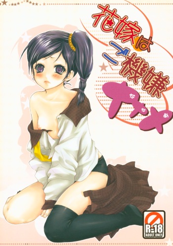 (C73) [Holiday School (Kouyou Sakaki)] Hanayome wa Gokigen Naname (Tales of Legendia) cover