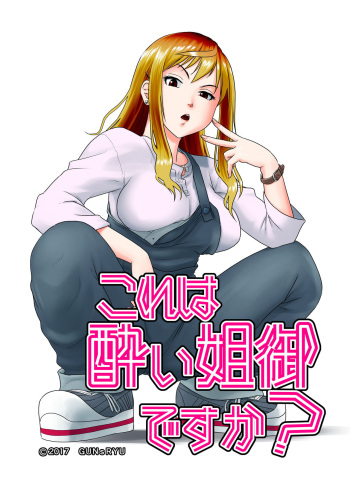 [GUNsRYU] Kore wa Yoi Anego desu ka? cover