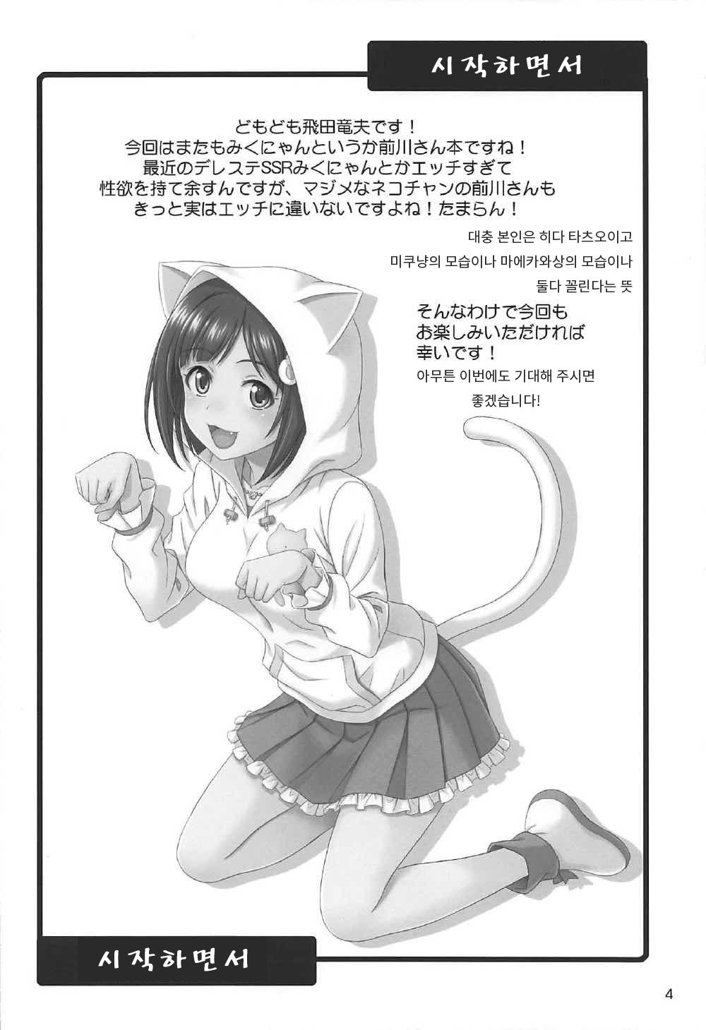 Majime ga Nekonyan! sono 2 | 진지한 고양이다냥! 2 page 3 full