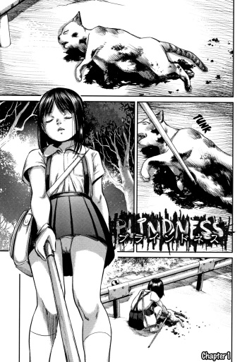[Shinjima Saki] BLINDNESS Zenpen (Robou no Jari) [English] [ATF] cover