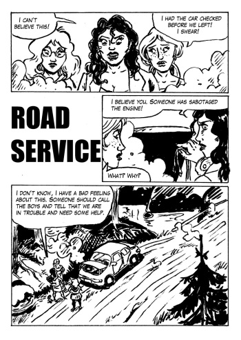 road service cover