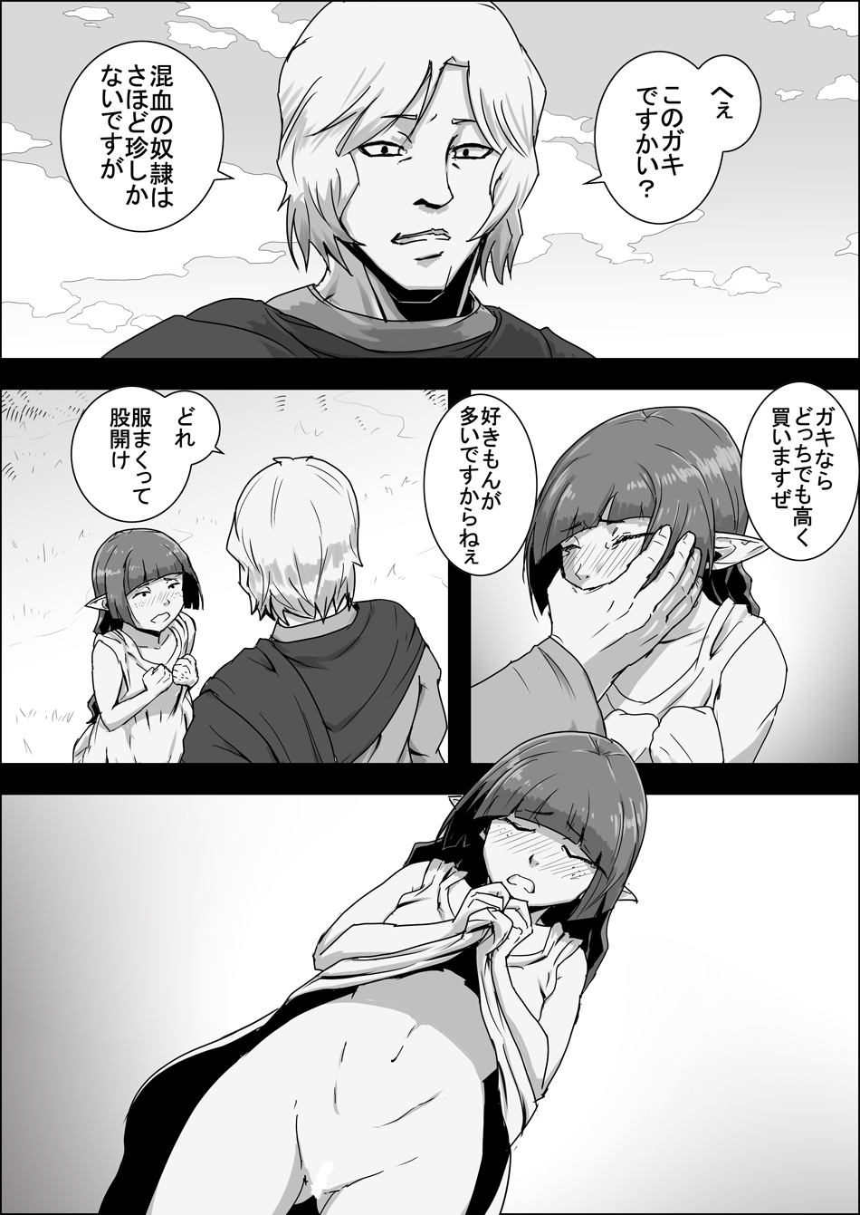 Mada Daimei no Nai Fantasy - Jimi na Elf to Minarai no Senshi XI page 12 full