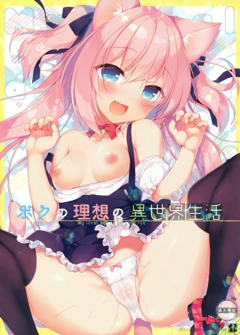 (C93) [23.4do (Ichiri)] Boku no Risou no Isekai Seikatsu | My Ideal Life In A Different World [English] [Australiaia Boi Scanlsations] cover
