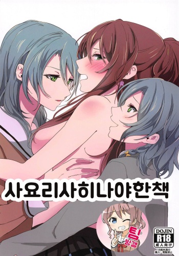 (C95) [Tatakai no Kiseki (Senyuu)] Sayo Lisa Hina Ecchi Bon | 사요리사히나야한책 (BanG Dream!) [Korean] [팀 방갤] cover
