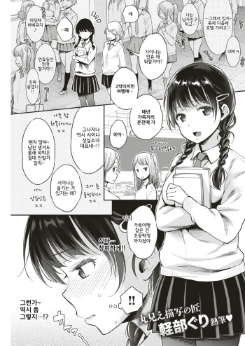 [Karube Guri] Sexual♡Special♡Holidays (COMIC Shitsurakuten 2019-06) [Korean] [Digital] cover