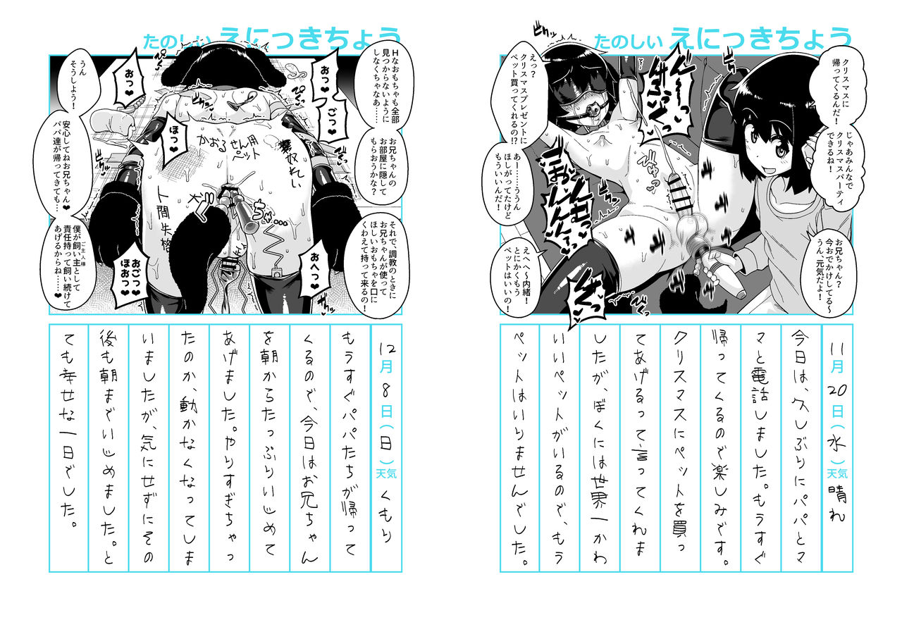 Onii-chan Choukyou Nikki page 11 full