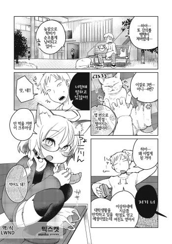 [Masha] Mix Cat (Tamabira) [Korean] [LWND] [Digital] cover
