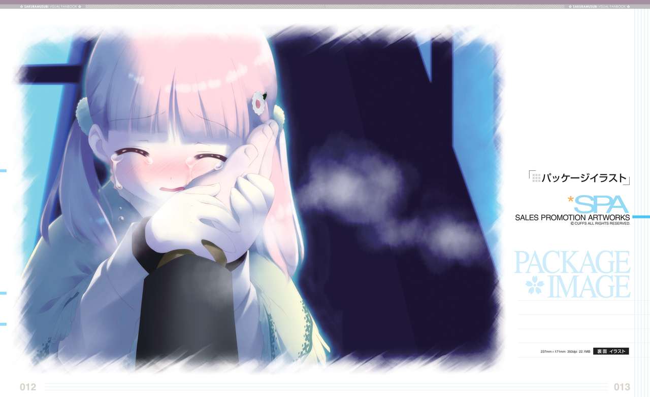 Sakura Musubi Visual Fanbook page 11 full