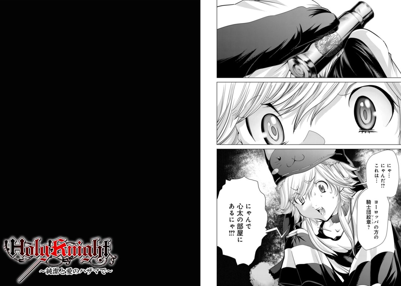 Holy Knight ~Junketsu to Ai no Hazama de~ Vol. 8 page 12 full