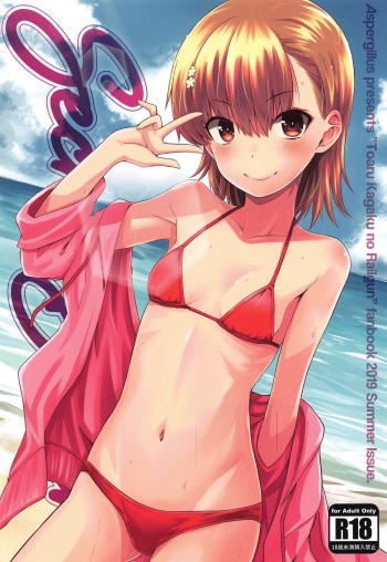 (C96) [Aspergillus (Okara)] Secret Beach (Toaru Kagaku no Railgun) cover