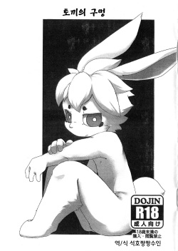 Usagi No Ana | 토끼의 구멍