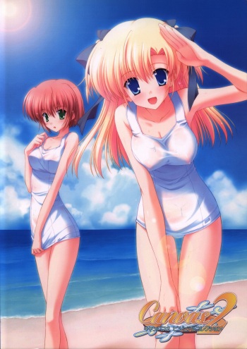 CANVAS2 Collection Art Book cover