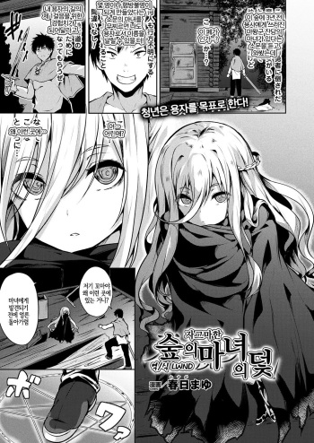 [Kasuga Mayu] Mori no Chiisana  Majo no Wana | 숲의 자그마한 마녀의 덫 (COMIC Unreal 2018-02 Vol. 71) [Korean] [LWND] [Digital] cover