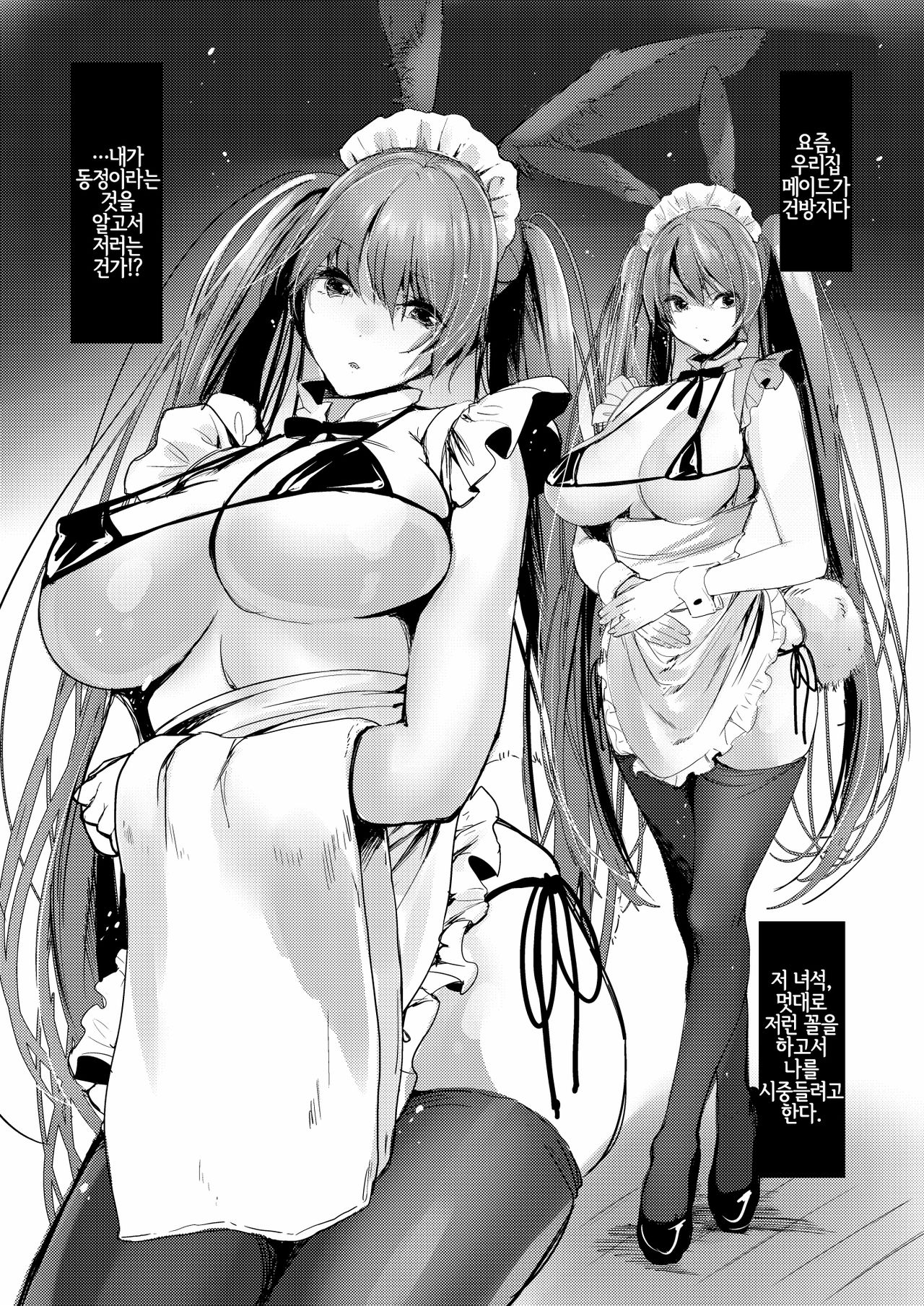 Bunny Maid no Chouhatsu | 바니메이드의 도발 page 2 full