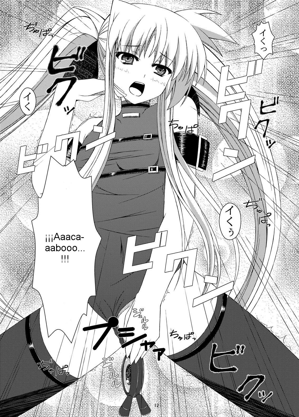 Hentai Fate-chan no Nikka page 12 full