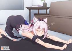 ♥ Intruder vs a cat ♥