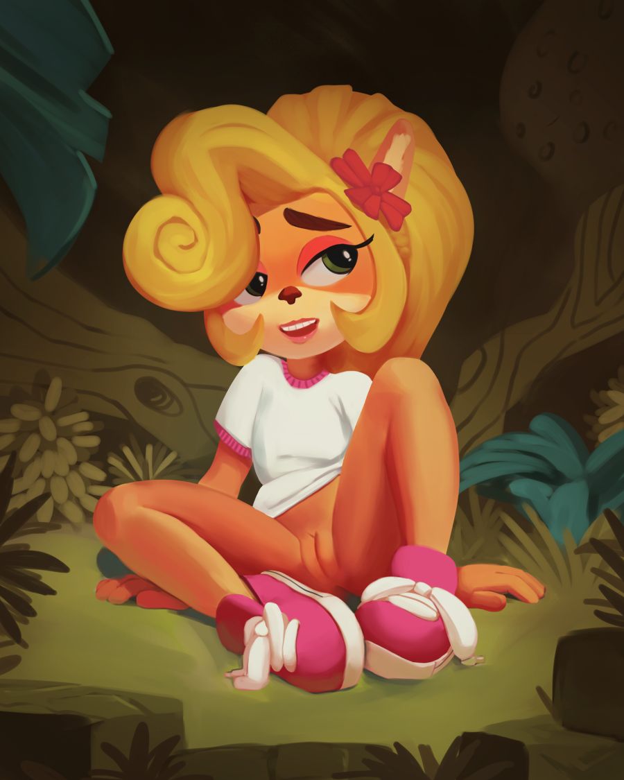 Crash Bandicoot Collection page 11 full