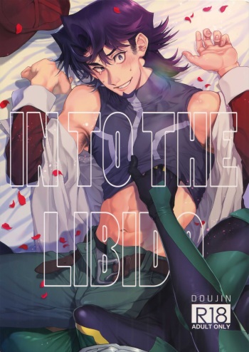 (Link☆Duelmaker3) [KBR (Kabiringo)] IN TO THE LIBIDO (Yu-Gi-Oh! VRAINS) cover