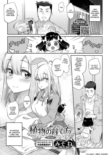 [Mizone] Shokubutsu no Sodatekata ~After~ (COMIC BAVEL 2018-06) [Spanish] [NekoCreme] [Digital] cover