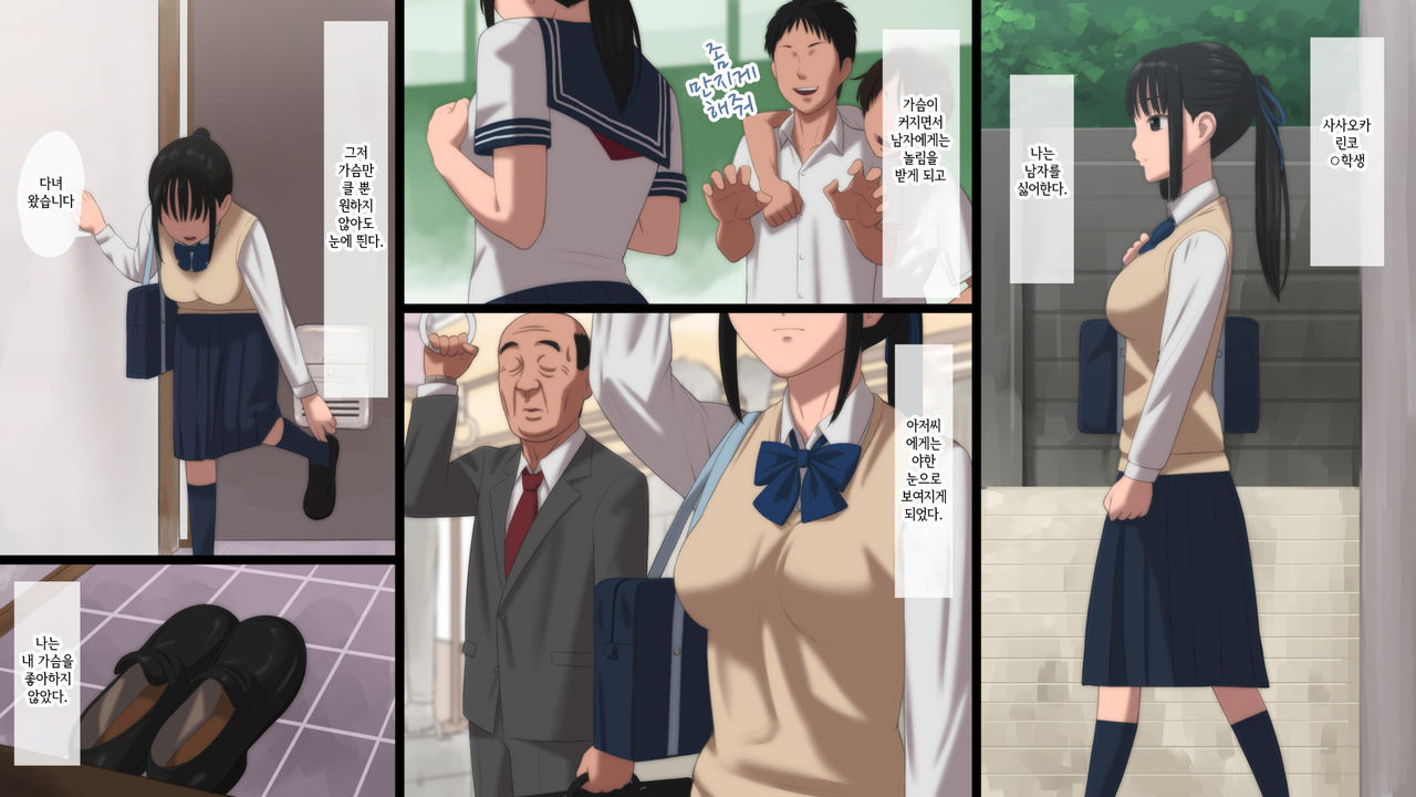 Majime na JK ga Ero Jidori ni Hamatte Saishuuteiki ni Oji-san to SEX suru Hanashi | 성실한 JK가 에로사진을 찍어서 최종적으로 아저씨와 SEX 하는 이야기 page 2 full