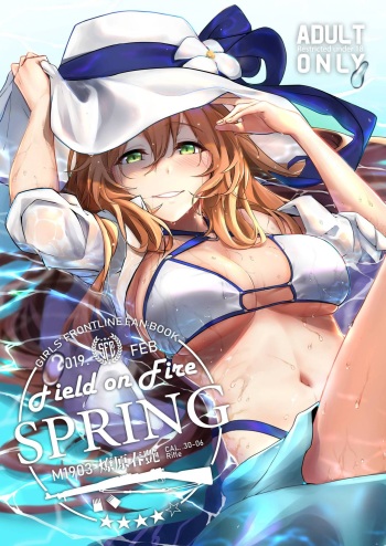 [JOJODESU] Field on Fire (Girls' Frontline) [Korean] cover