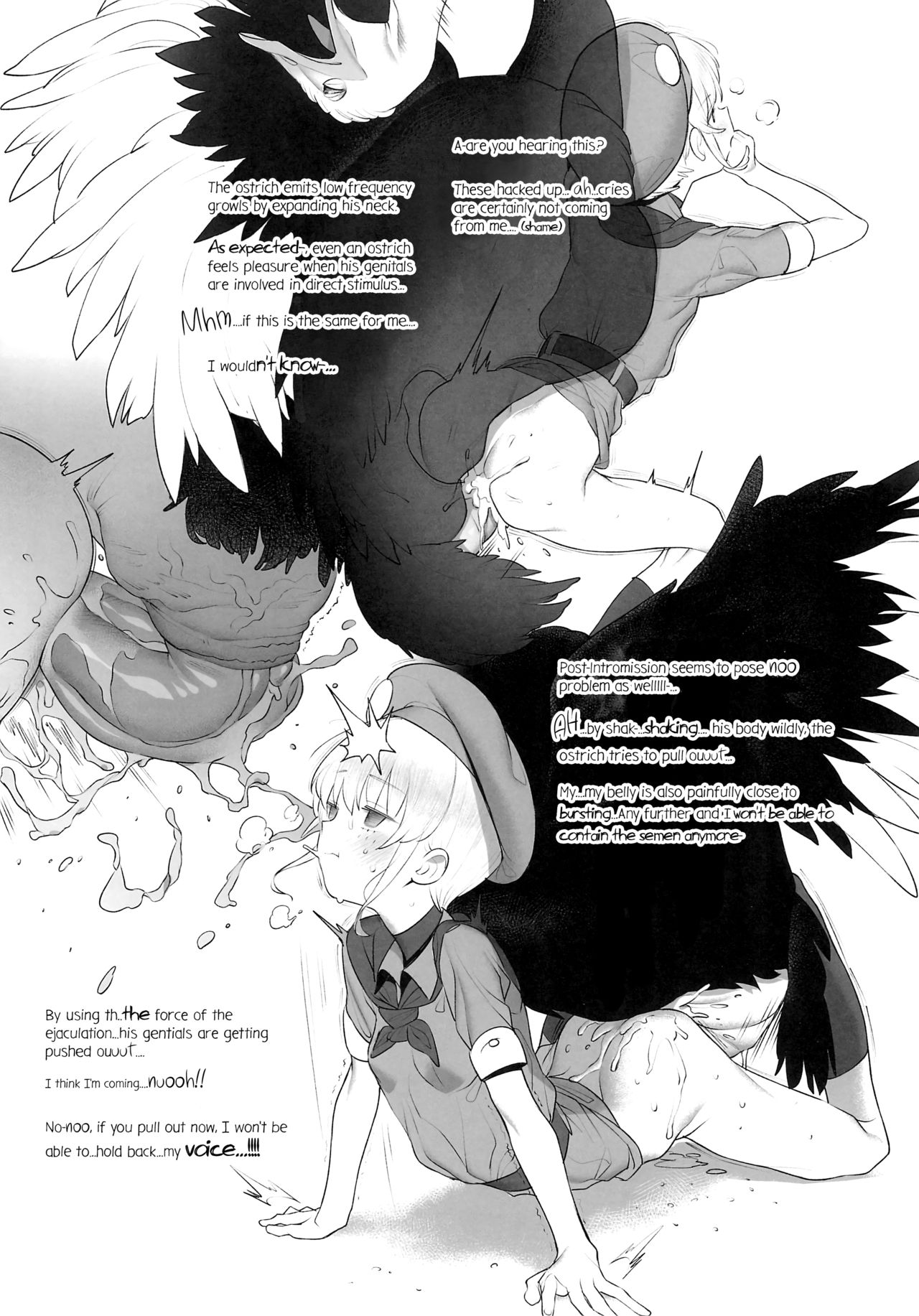 Tori no Kimochi Ii page 12 full