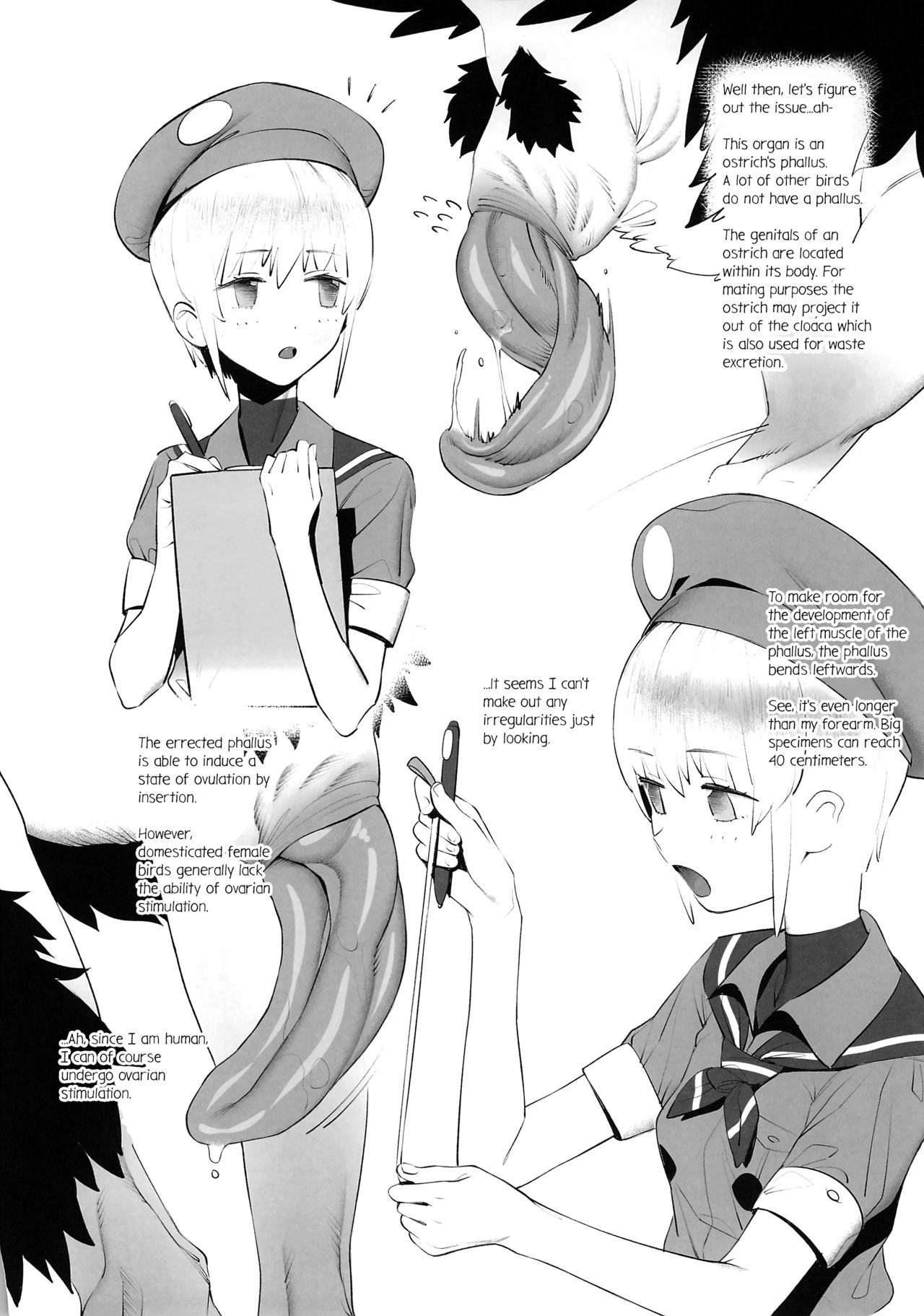 Tori no Kimochi Ii page 4 full