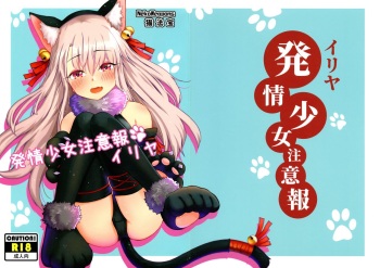 (C96) [San Se Fang (NekoWeapons)] Hatsujou Shoujo Chuuihou Illya (Fate/Grand Order) cover