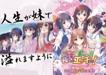 Onii-chan, Asa Made Zutto Gyu te Shite! Yoru Made Motto Ecchi Shite! Visual Guide Book cover